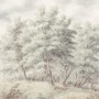 Komar Vliestapete Grove: Künstlerisches Waldmotiv in sanften Grau- und Brauntönen, wie eine Skizze. Fototapete.