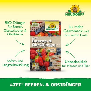 Neudorff Azet Beeren- und Obst-Dünger 1 kg Packung mit Beeren-Motiv für gesunde Pflanzen und reiche Ernte.