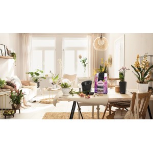 Lechuza Orchidpon Pflanzsubstrat (3L) für Orchideen in Wohnraum-Szene.