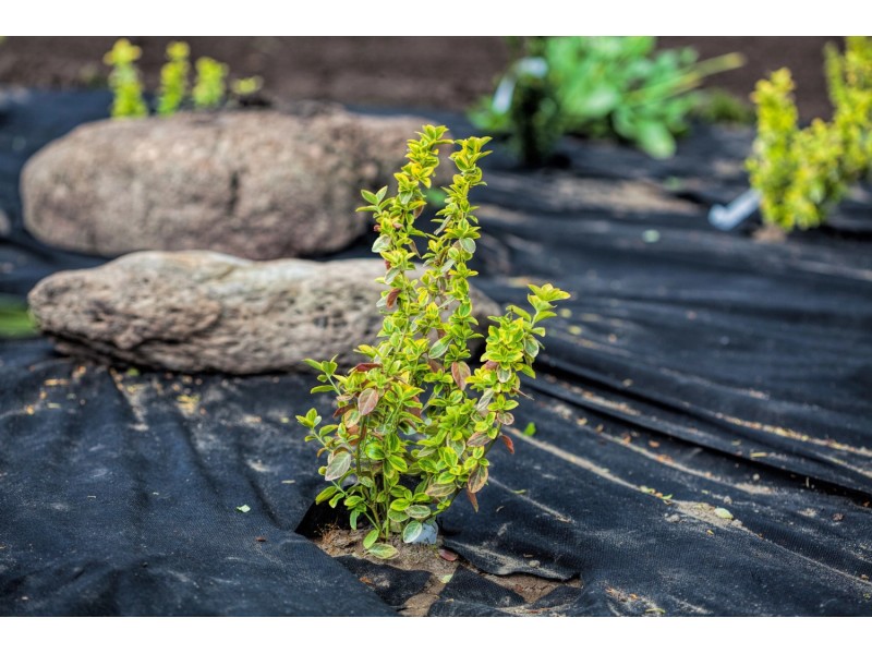 108m² Gartenvlies Unkrautvlies Unkrautfolie Mulchfolie Mulchvlies 150g 1 2m Br