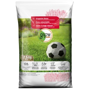 OBI Strapazier-Rasen 2,5 kg: Saatgut für robusten, strapazierfähigen Rasen. Ideal für Spiel und Sport.
