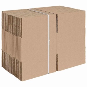 vidaXL Faltbox mit Speicher 50 Stk Natur 15 x 15 x 8 cm Karton 4106562