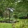 Schwarzes Halls Gewächshaus Qube 66 mit Pflanzen im Garten.