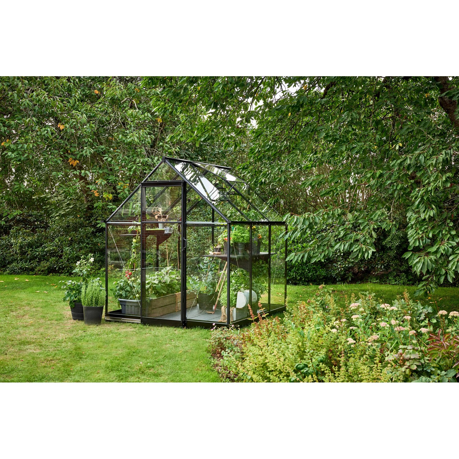 Schwarzes Halls Gewächshaus Qube 66 mit Pflanzen im Garten.