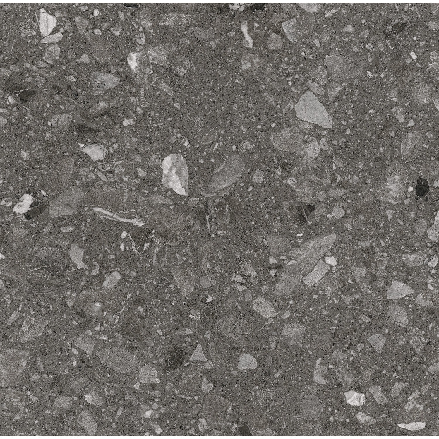 Anthrazitfarbene Feinsteinzeug Bodenfliese, 60x60 cm, matte Steinoptik für Innen- und Außenbereich.