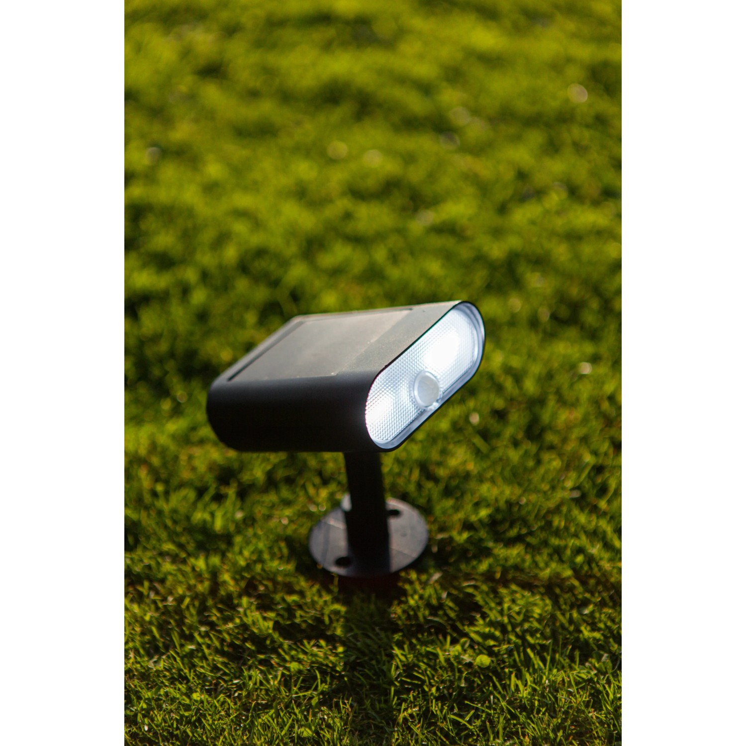 Lutec Ginbo LED Solar-Wandleuchte, schwarz, mit Bewegungsmelder, auf Rasen montiert.