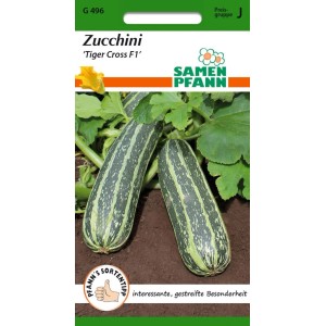 Samen Pfann Zucchini Tiger Cross F1: Zwei gestreifte, dunkelgrüne Zucchini im Beet.