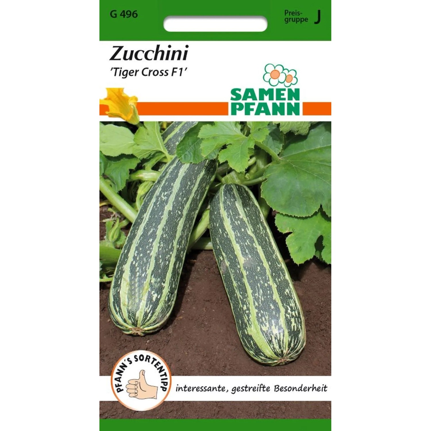 SAMEN PFANN Zucchini Tiger Cross F1