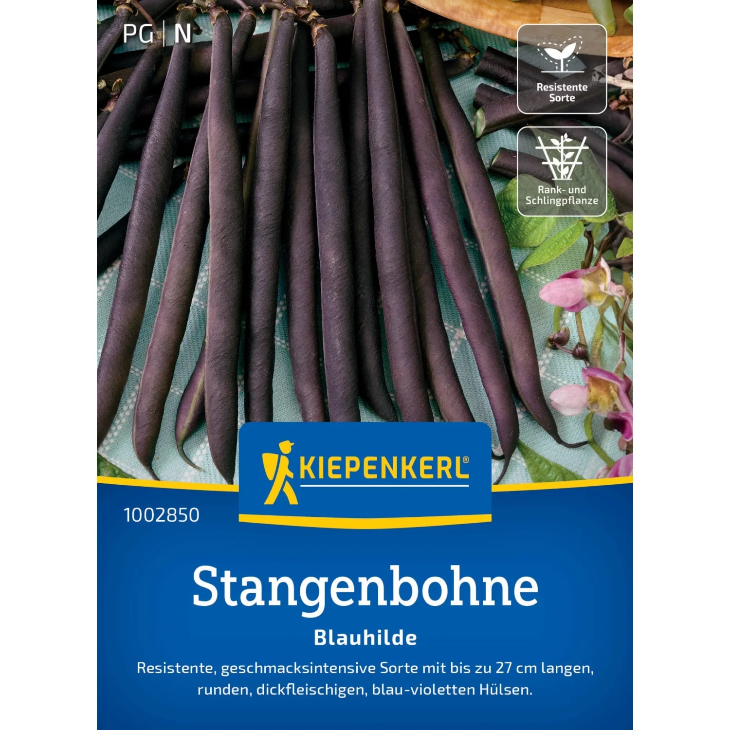 Stangenbohnen Saatgut Chrestensen Stangenbohne 'Blauhilde' Saatgut   Ertragreiche Bohnen Fr Deinen Garten, Ca. 15 Stangen Chrestensen  Stangenbohne Blauhilde Samen