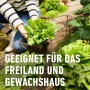 Gartenbild: Ernte von Salat im Garten, geeignet für Schneckenkorn-Anwendung.
