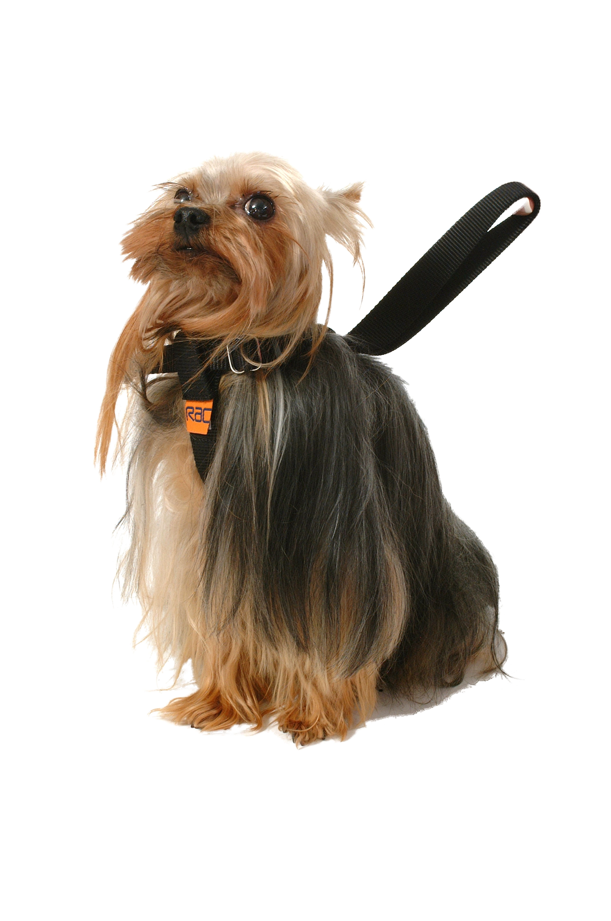 Heim RAC Sicherheitsgurt für Hunde Small Körperumfang 30 cm