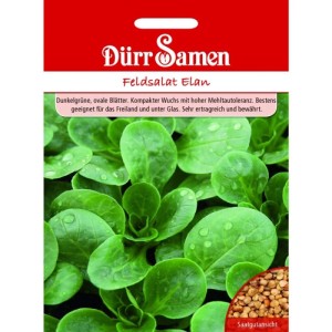 Dürr Samen Feldsalat Elan Saatgut