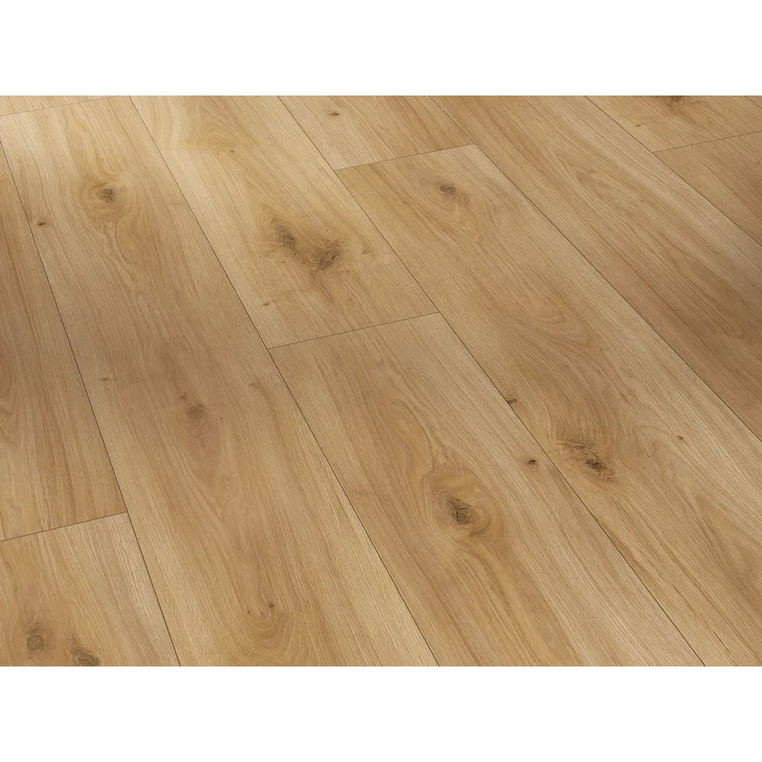 PARADOR Laminat Basic 400 - Eiche Horizont Natur, Packung, Kantenimprägnierung, 1285 x 194 mm, Stärke: 8 mm