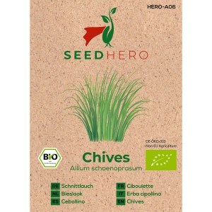 Seedhero BIO Schnittlauch Samen, aromatisches Saatgut für Garten & Fensterbank.