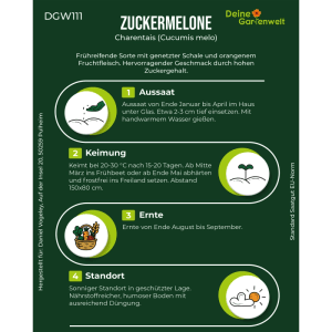 Grüne Infografik: Zuckermelone Charentais Samen Anbauanleitung mit Aussaat, Keimung, Ernte & Standort Icons.