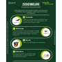 Grüne Infografik: Zuckermelone Charentais Samen Anbauanleitung mit Aussaat, Keimung, Ernte & Standort Icons.