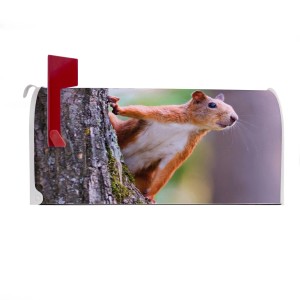 Weißer Banjado US Briefkasten mit Eichhörnchen Motiv, Stahl pulverbeschichtet.