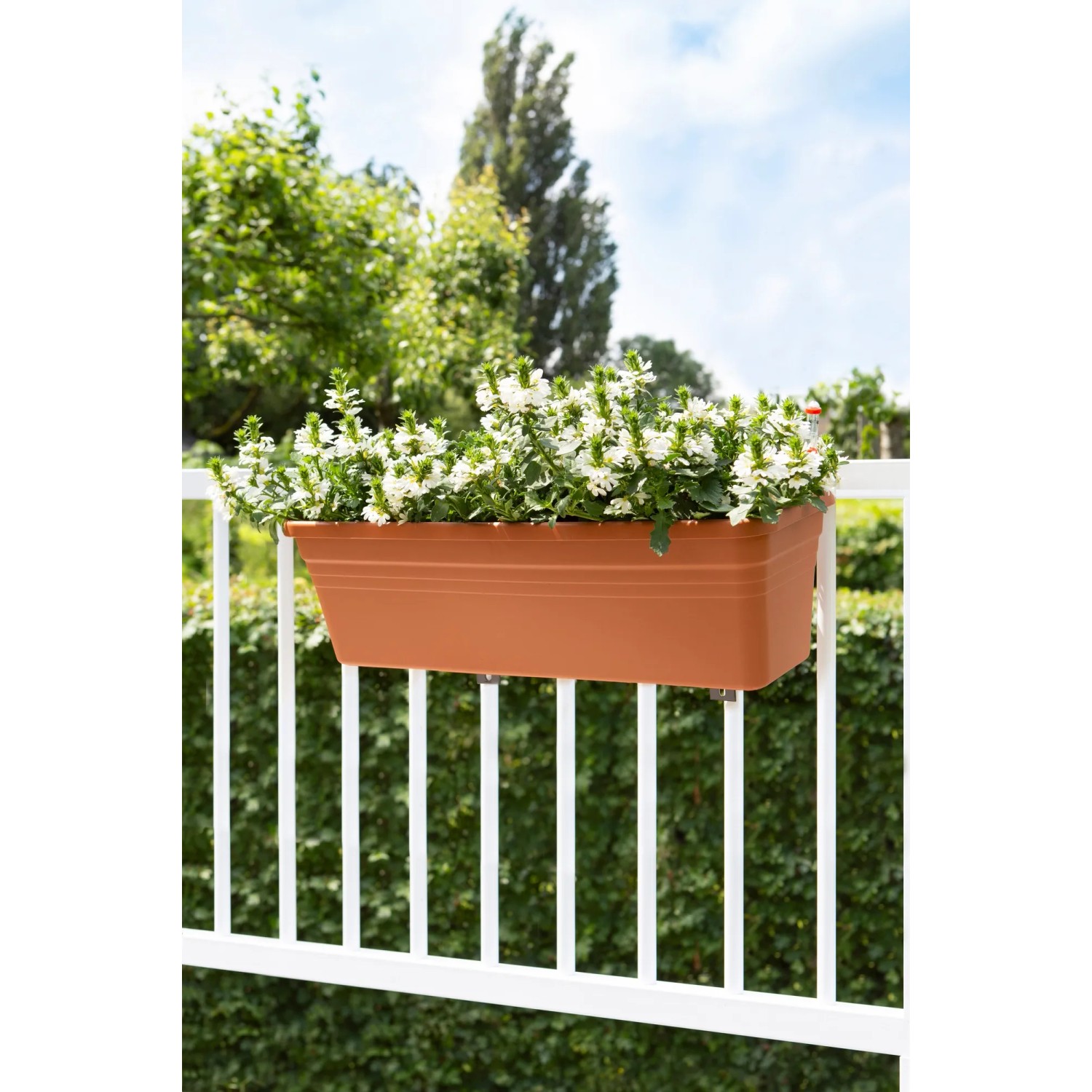 Anthrazitfarbener Florus Pflanzkasten Mediterran 60 cm mit weißen Blumen auf einem Balkongeländer.