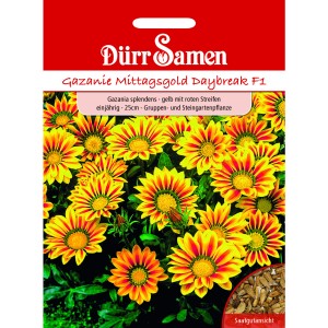 Dürr Samen Gazanie Daybreak Red Stripe F1: Gelb-rot gestreifte Mittagsgold Blumen.