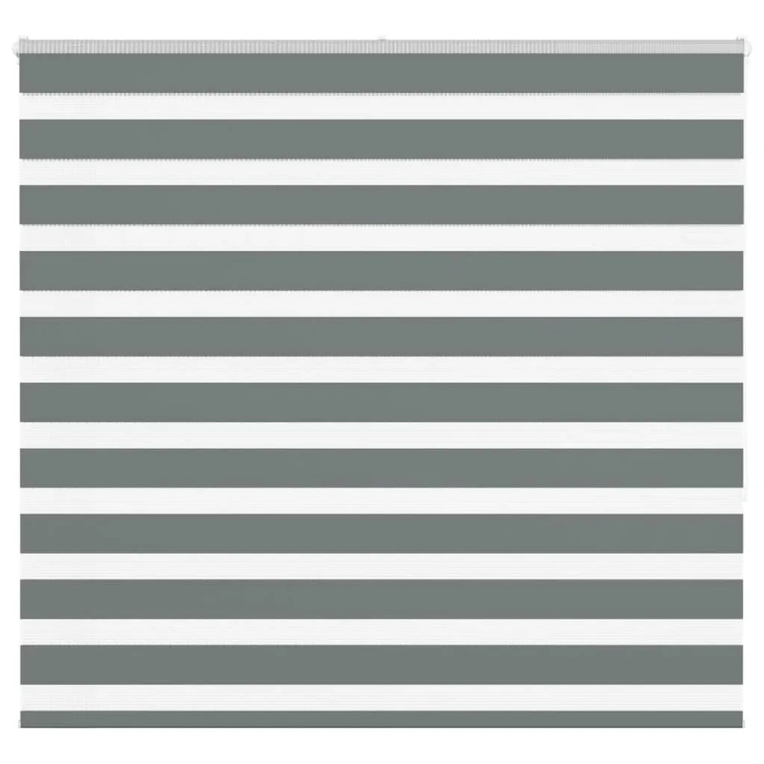 vidaXL Doppelrollo Dunkelgrau 155x150 cm Stoffbreite 150,9 cm Polyester 4014142