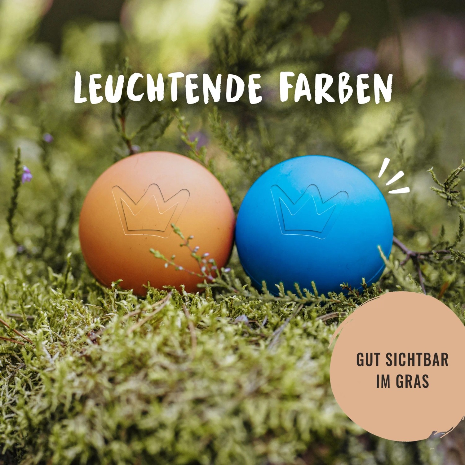 Blauer und oranger Rudelkönig Hundeball (6,5 cm) aus Naturkautschuk im Gras.