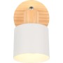 Trio Strahler Shanti in Warm-Grey mit Holz, einflammiger Deckenspot für Wohnraum.