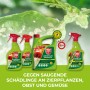 Protect Garden Lizetan Plus Schädlingsfrei AF, 3l, Mittel gegen Schädlinge an Pflanzen.