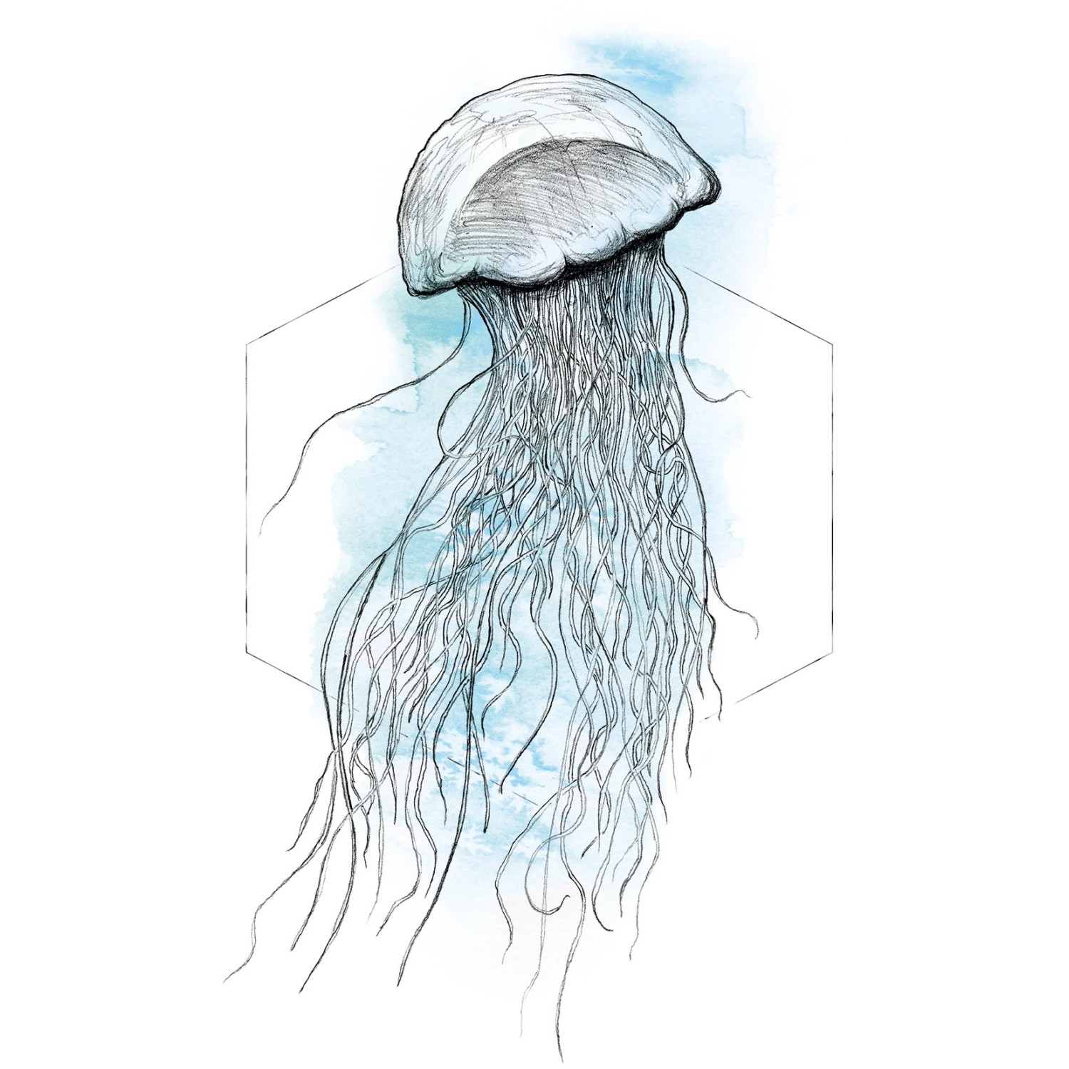 Komar Wandbild Jellyfish Watercolor 40 x 50 cm