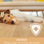 Bona Spray Mop für geölte Böden: Hund liegt entspannt auf dem gereinigten Holzboden.