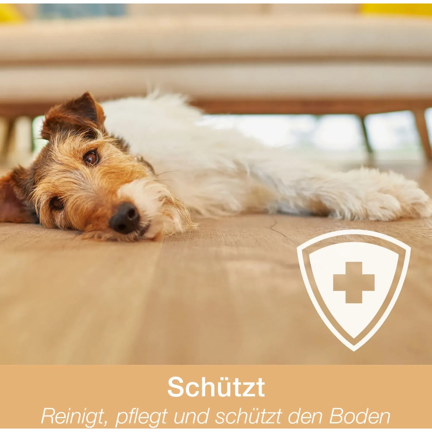 Bona Spray Mop für geölte Böden: Hund liegt entspannt auf dem gereinigten Holzboden.