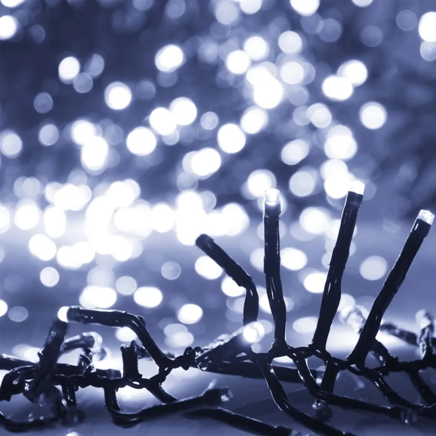 Nahaufnahme einer vidaXL LED-Lichterkette mit 3000 kaltweißen LEDs auf dunklem Kabel. Helle Außen-Dekoration.