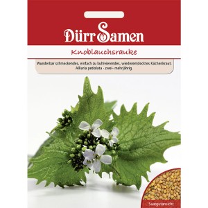 Saatgut kaufen bei OBI