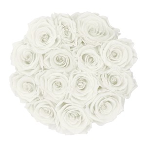 Rosenbox mit 14 weißen Rosen (Ø 19cm). Elegante Blumendekoration für Zuhause.