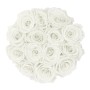 Rosenbox mit 14 weißen Rosen (Ø 19cm). Elegante Blumendekoration für Zuhause.