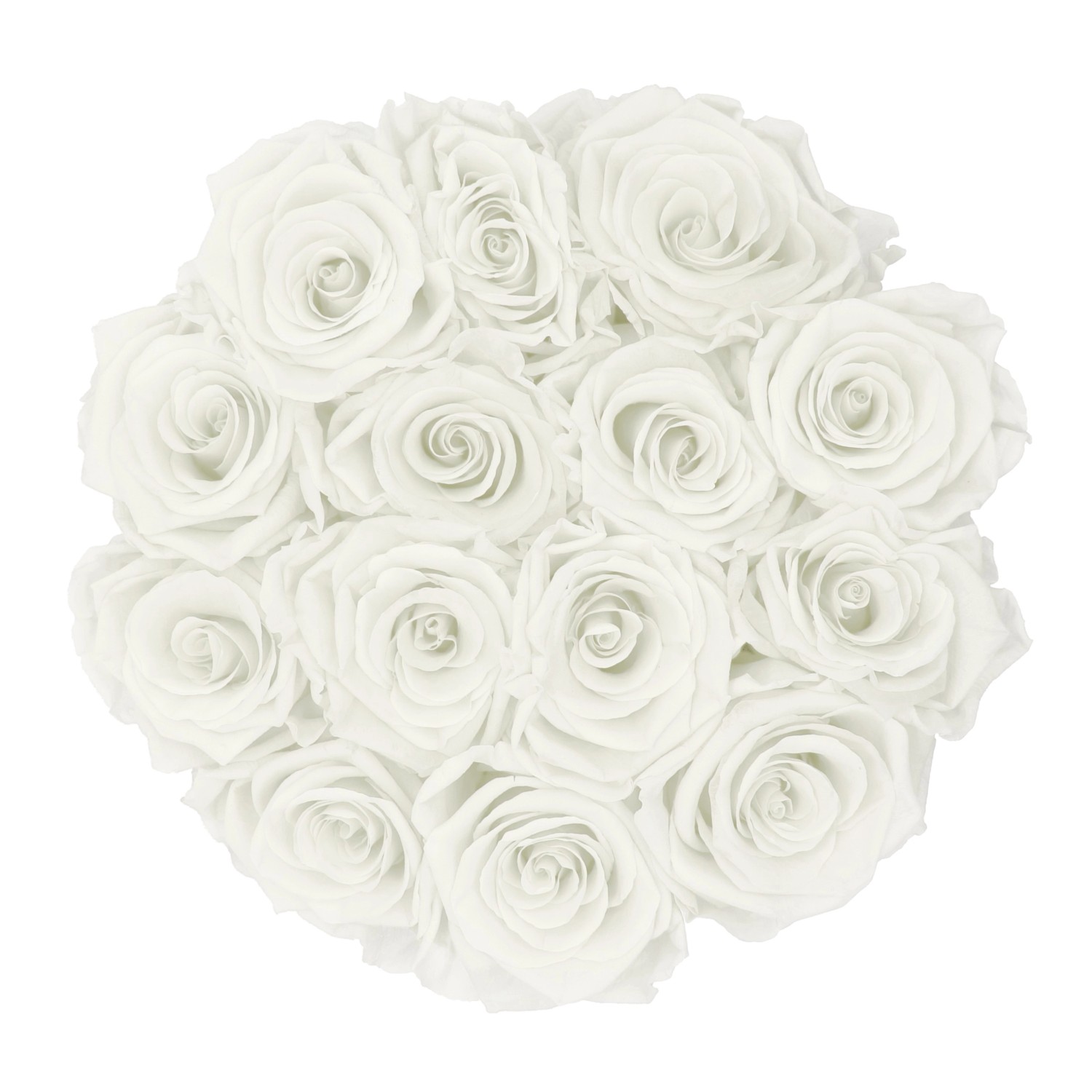 Rosenbox mit 14 weißen Rosen (Ø 19cm). Elegante Blumendekoration für Zuhause.