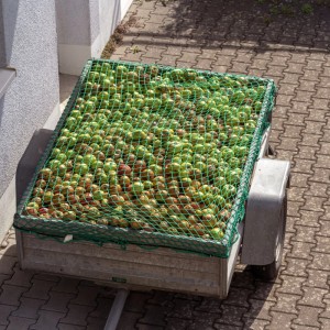 Relaxdays Anhängernetz Kunststoff Grün Reißfest 1,5 m x 2,2 m 0,8 kg