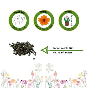 Samenpackung Natternkopf blau: Infos zu Aussaat, Blütezeit und Pflanzenhöhe. Inhalt reicht für ca. 15 Pflanzen.