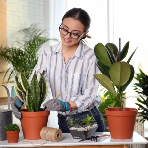 Relaxdays Pflanzenstab Bambus Schwarz mit Bindedraht 50er Set 60 cm
