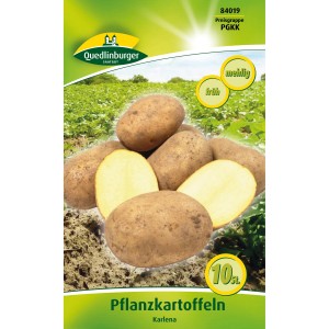 Quedlinburger Pflanzkartoffeln "Karlena", 10 Stück, vorwiegend festkochend, hellgelbes Fleisch.