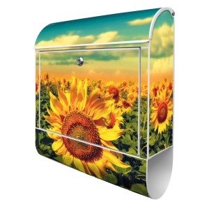 Design Briefkasten mit Sonnenblumen Motiv, silber pulverbeschichtet, mit Zeitungsfach.