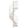 Dolle Spindeltreppe Oslo, Ø 120 cm, mit weißen Metallelementen und 11 Eiche-Stufen.