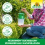 Neudorff Neudomon Buchsbaumzünslerfalle Nachfüllpack im Einsatz im Garten.