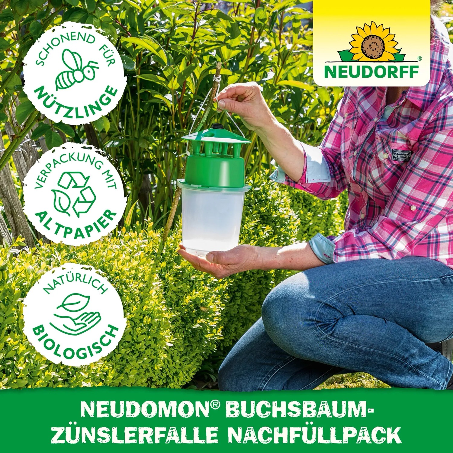 Neudorff Neudomon Buchsbaumzünslerfalle Nachfüllpack im Einsatz im Garten.