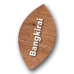 Ultra Nature BIO Gartenöl Bangkirai im Holzdesign für Terrassen & Gartenmöbel.