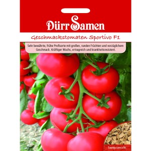 Dürr Samen Tomaten Sportivo F1: Reife, rote Tomaten am Strauch, Saatgutsicht.