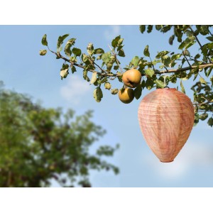 Gardigo Wespennest-Attrappe (2er Set) hängt am Baum, um Wespen fernzuhalten.