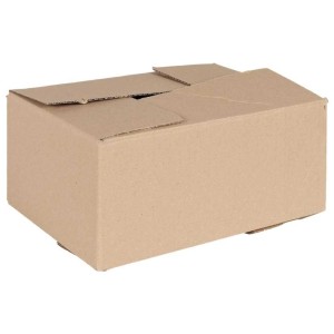 vidaXL Faltbox mit Speicher 50 Stk Natur 30 x 21,5 x 14 cm Karton 4106567