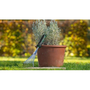 Bosch Garten-Handfächerbesen neben Topfpflanze im Garten, silberne Zinken, grüner Griff.