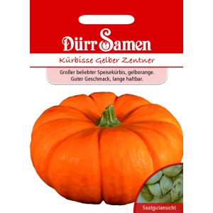 Dürr Samen Kürbis Gelber Zentner Saatgutpackung mit großem, gelborangen Speisekürbis.