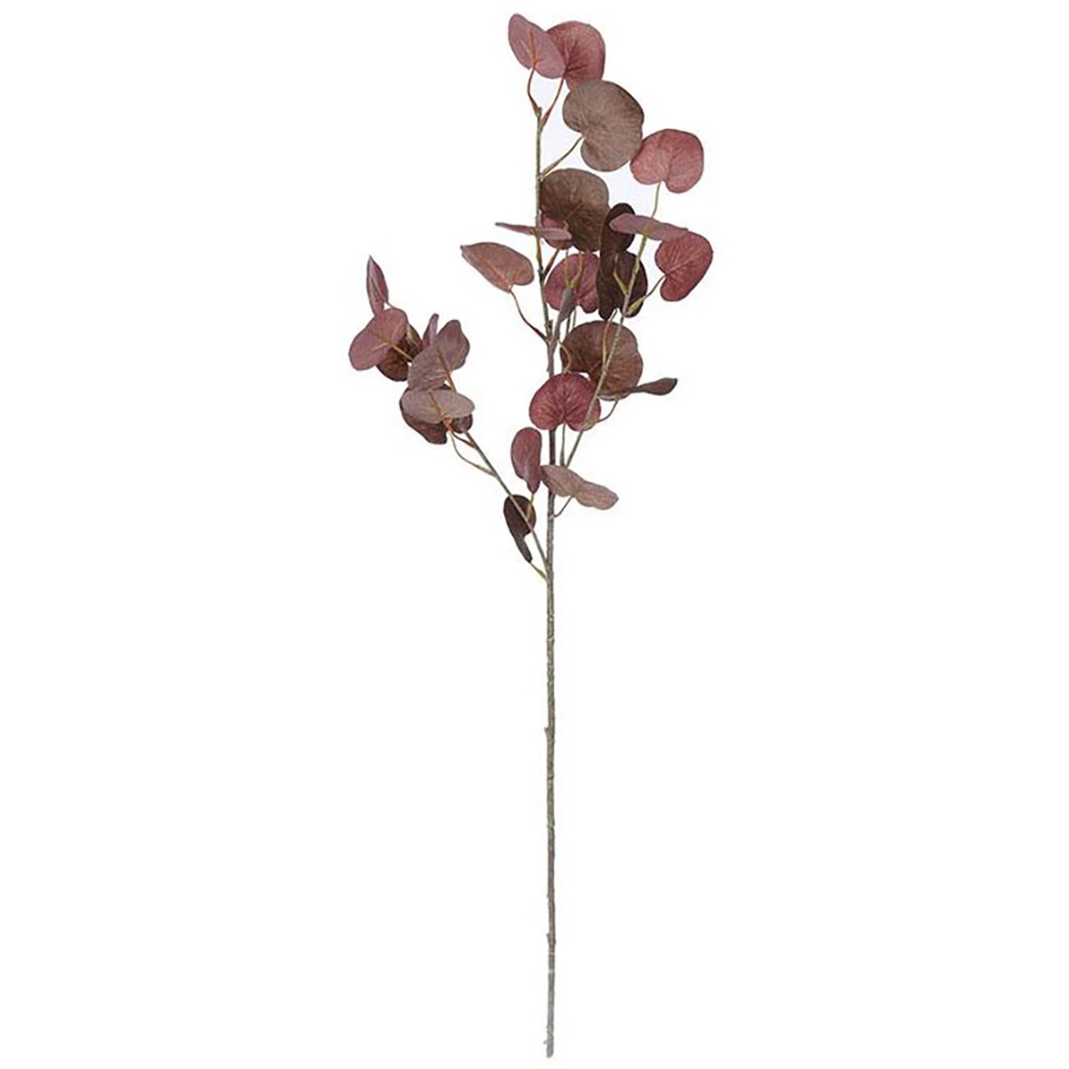 Flower Power Kunstblume Eukalyptuszweig 72 cm Braun